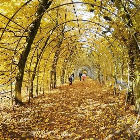 Balticon Nadmorskie Tarasy *