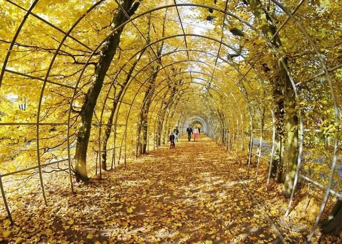 Balticon Nadmorskie Tarasy 3*